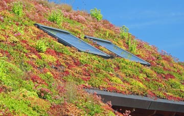 Everbay living roof systems
