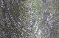 Everbay fibreglass roof work